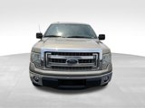Used 2013 Ford F150 XLT w/ XLT Chrome Pkg image 2