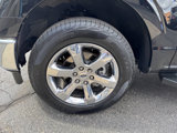 Used 2022 Ford F150 XLT image 6