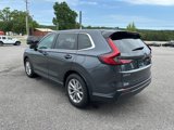 Used 2024 Honda CR-V EX-L image 5