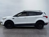 Used 2019 Ford Escape SE image 2