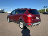 Used 2014 Ford Escape SE w/ Equipment Group 201A image 3