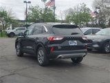 Certified 2022 Ford Escape SEL image 3