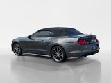 Certified 2019 Ford Mustang Premium w/ Equipment Group 201A image 4