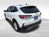 Used 2022 Ford Escape SE w/ Cold Weather Package image 4