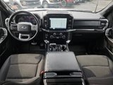 Certified 2021 Ford F150 XLT w/ Equipment Group 302A High image 2