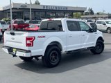 Used 2019 Ford F150 XLT w/ Equipment Group 302A Luxury image 4