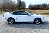 Used 1999 Ford Mustang Cobra image 5