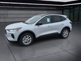 Used 2025 Ford Escape Active w/ Cold Weather Package image 4