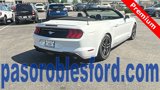 Certified 2022 Ford Mustang Premium image 3