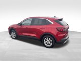 Used 2023 Ford Escape Active w/ Tech Pack #1 image 4