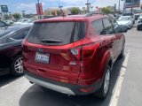 Used 2019 Ford Escape SEL image 5
