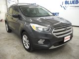 Used 2019 Ford Escape SE image 4