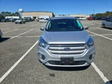 Used 2019 Ford Escape SE image 5