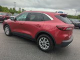 Used 2023 Ford Escape Active image 5