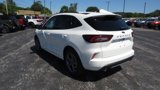 New 2024 Ford Escape ST-Line w/ Tech Pack #1 image 5