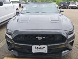 Used 2019 Ford Mustang Convertible image 2