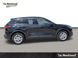 New 2025 Ford Escape Active w/ Tech Pack #1 image 4