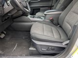 Used 2021 Ford Bronco Sport Big Bend w/ Big Bend Package image 5
