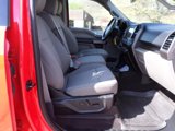 Used 2019 Ford F150 XLT w/ Equipment Group 302A Luxury image 2