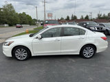 Used 2011 Honda Accord EX-L image 4