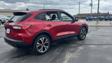 Used 2022 Ford Escape SE w/ SE Sport Appearance Package image 5