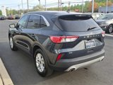 Certified 2022 Ford Escape SE w/ Convenience Package image 5