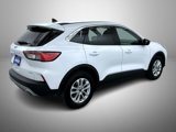 Used 2022 Ford Escape SE w/ Cold Weather Package image 5