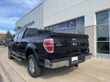 Used 2013 Ford F150 XLT w/ Luxury Equipment Group image 3
