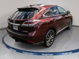 Used 2015 Lexus RX 350 F Sport image 5