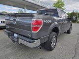 Used 2010 Ford F150 XLT image 5