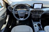 Used 2021 Ford Escape SE w/ Convenience Package image 5