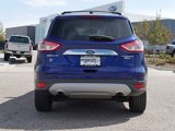 Used 2014 Ford Escape Titanium w/ Equipment Group 401A image 4