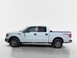 Used 2013 Ford F150 XLT image 6