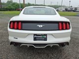 Used 2017 Ford Mustang Premium w/ Ecoboost Performance Package image 6