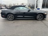 Used 2023 Ford Mustang Premium image 2