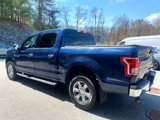 Used 2016 Ford F150 XLT w/ Equipment Group 301A Mid image 3