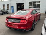 Used 2020 Ford Mustang Coupe w/ Equipment Group 101A image 4