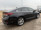 Used 2019 Hyundai Sonata SEL image 5