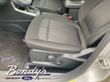 Used 2020 Ford EcoSport SE w/ SE Convenience Package image 5