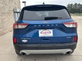 Used 2022 Ford Escape Titanium image 4