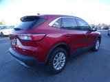 Used 2021 Ford Escape SE image 3