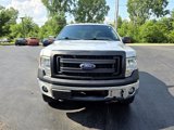 Used 2013 Ford F150 XLT w/ XLT Chrome Pkg image 2