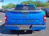 Certified 2019 Ford F150 XLT w/ Equipment Group 302A Luxury image 5