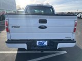 Used 2014 Ford F150 STX w/ Equipment Group 201A Mid image 6