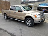 Used 2014 Ford F150 XLT w/ Equipment Group 302A Luxury image 2
