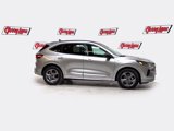 Used 2024 Ford Escape ST-Line w/ Cold Weather Package image 3