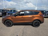 Used 2017 Ford Escape SE w/ SE Sport Appearance Package image 2