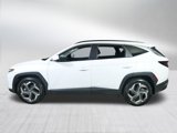 Used 2024 Hyundai Tucson SEL image 4