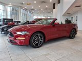 Certified 2020 Ford Mustang Premium w/ Ford Safe & Smart Package image 3