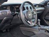 Used 2017 Ford Mustang GT w/ Black Accent Package image 2